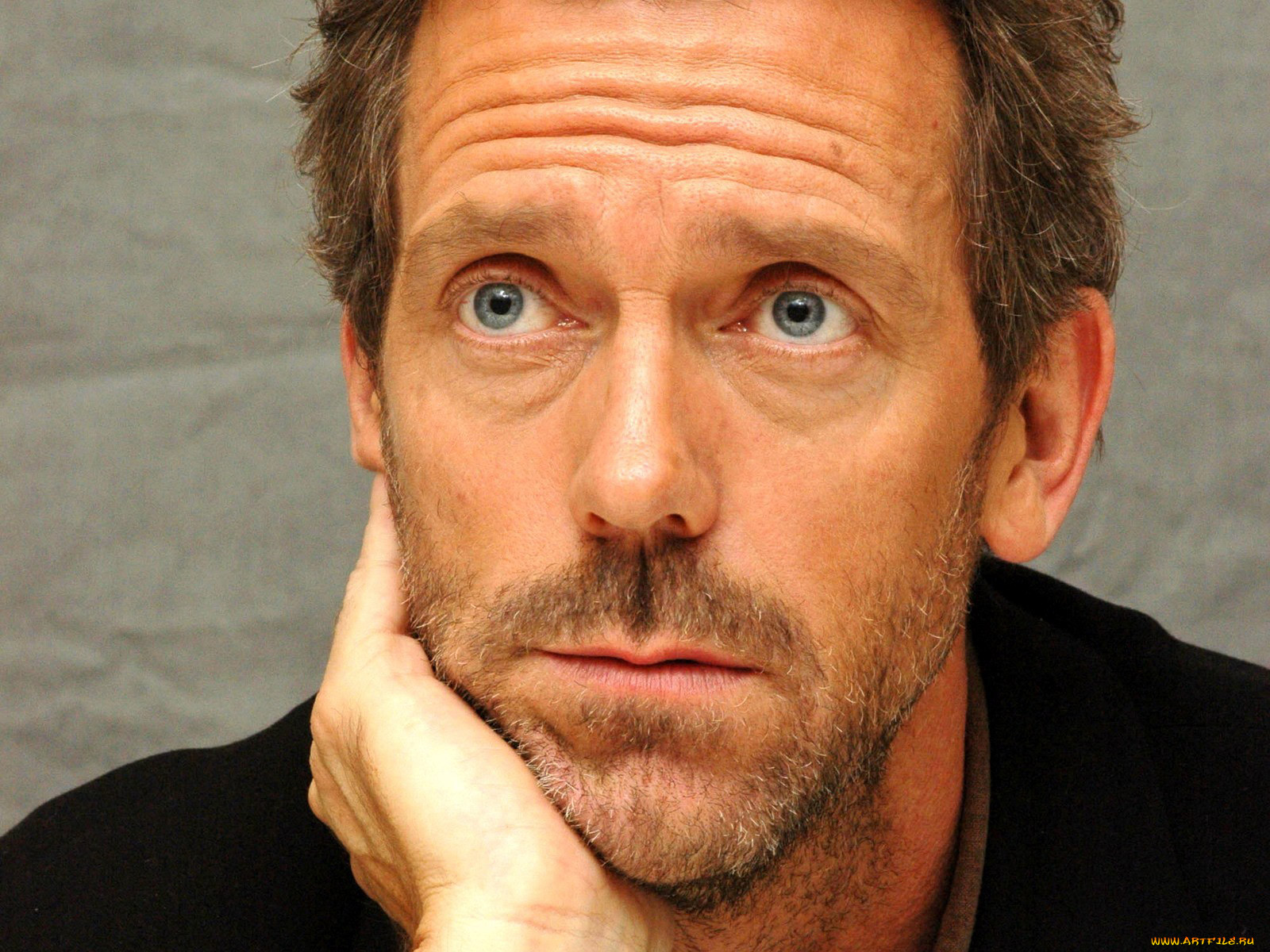 , hugh, laurie